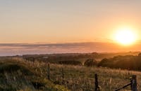 内布拉斯加州乡村的田野和树木，在日出时分的宁静景色中显得格外明亮