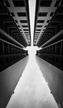 Low-angle monochrome shot of skyscrapers with striking symmetry.