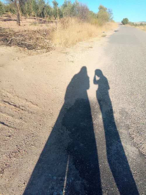 Free stock photo of gölge, shadow Stock Photo