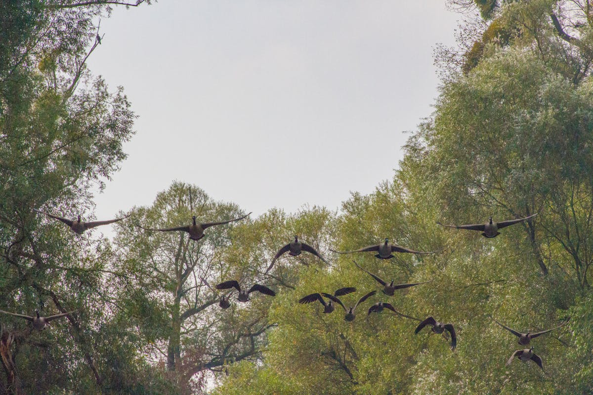 Charts and graphs on a laptop representing usage analytics