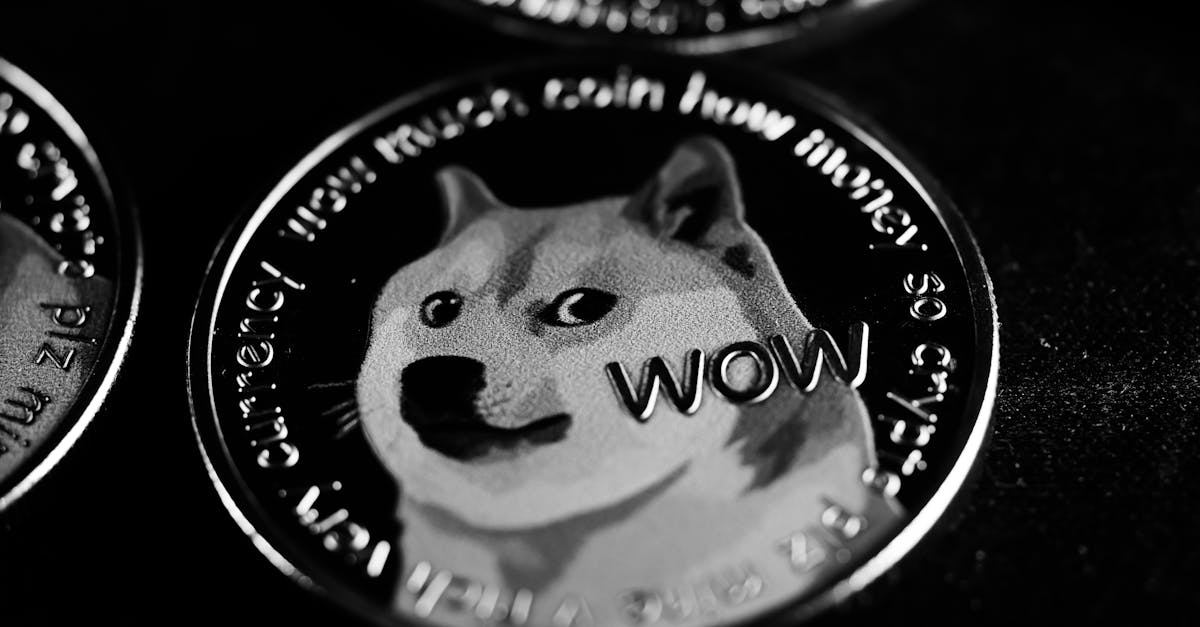 XRP、柴犬幣與Bonk潛力展望 XRP、柴犬幣與Bonk潛力展望