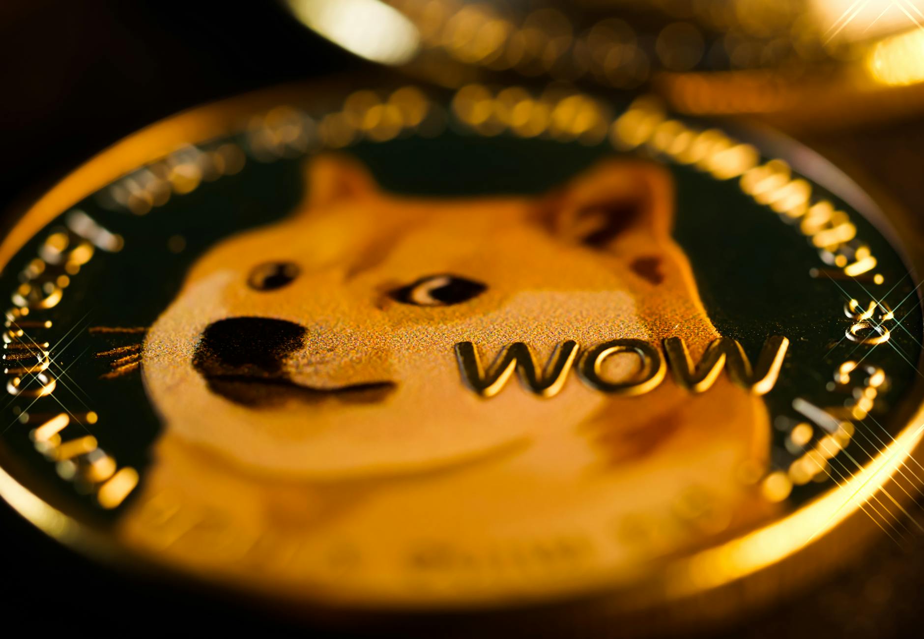Altcoin prices fluctuate, Qubic impact signals DOGE price action, Litecoin, crypto market, trading insights. Altcoin prices fluctuate, Qubic impact signals DOGE price action, Litecoin, crypto market, trading insights.