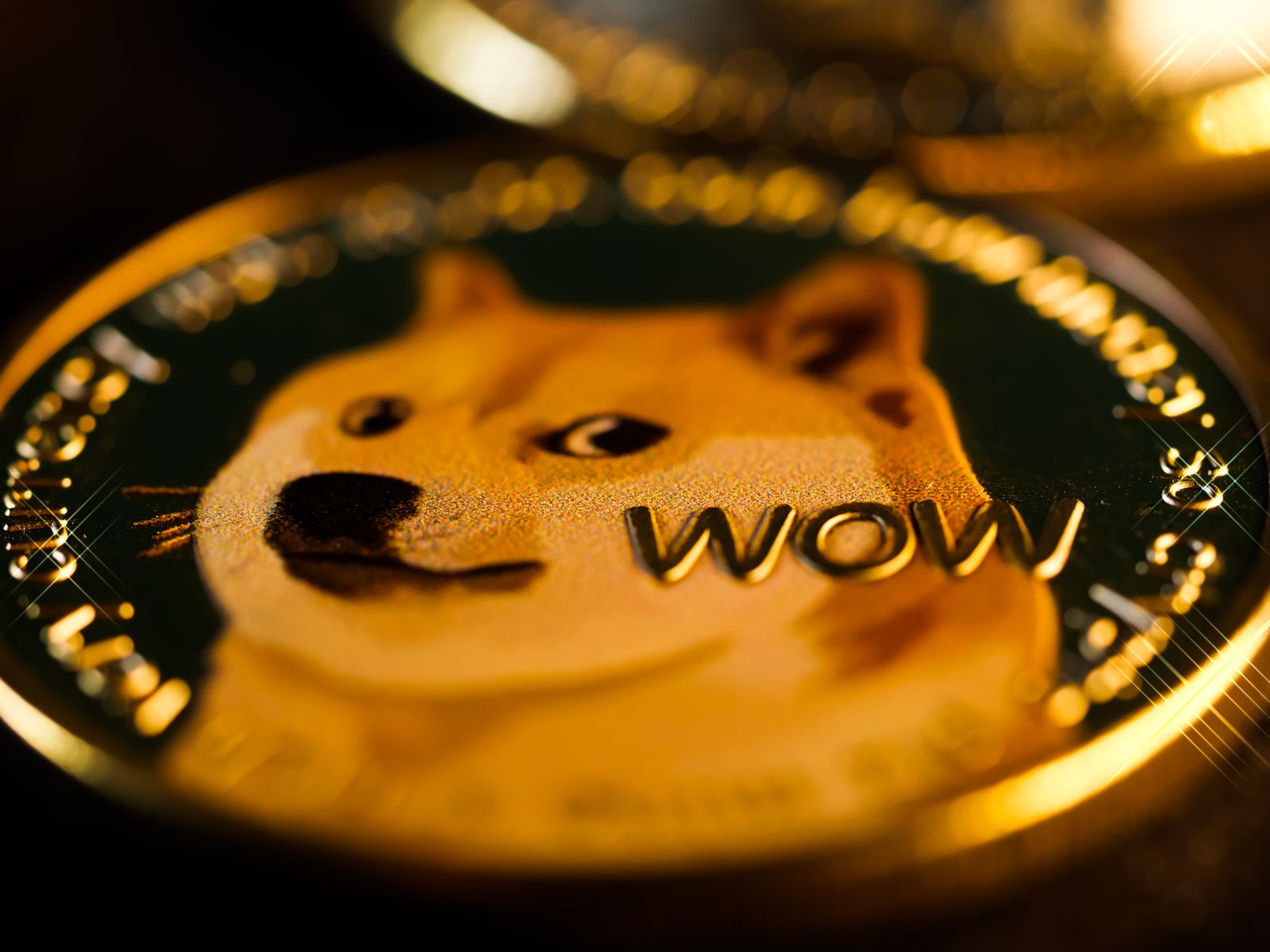 Dogecoin leading the major cryptocurrency market