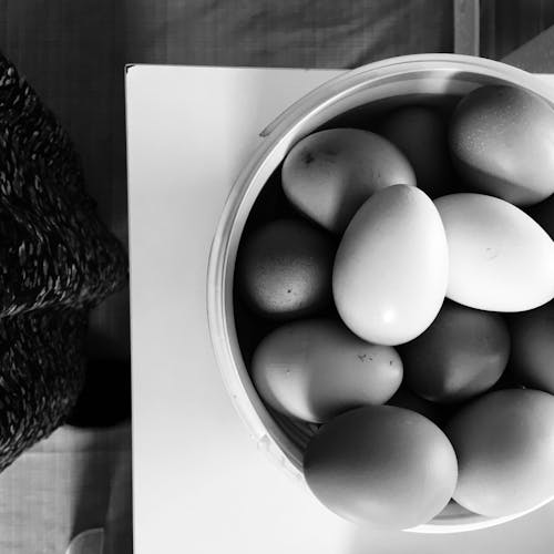 Free stock photo of bnw, chicken eggs, fresh eggs Stock Photo