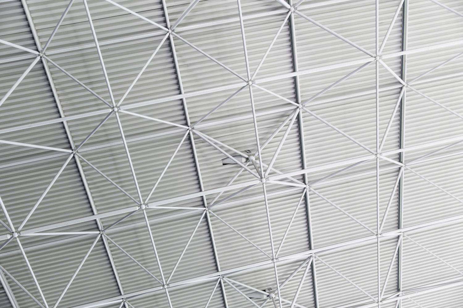 Steel Ribs Photos, Download The BEST Free Steel Ribs Stock Photos & HD ...
