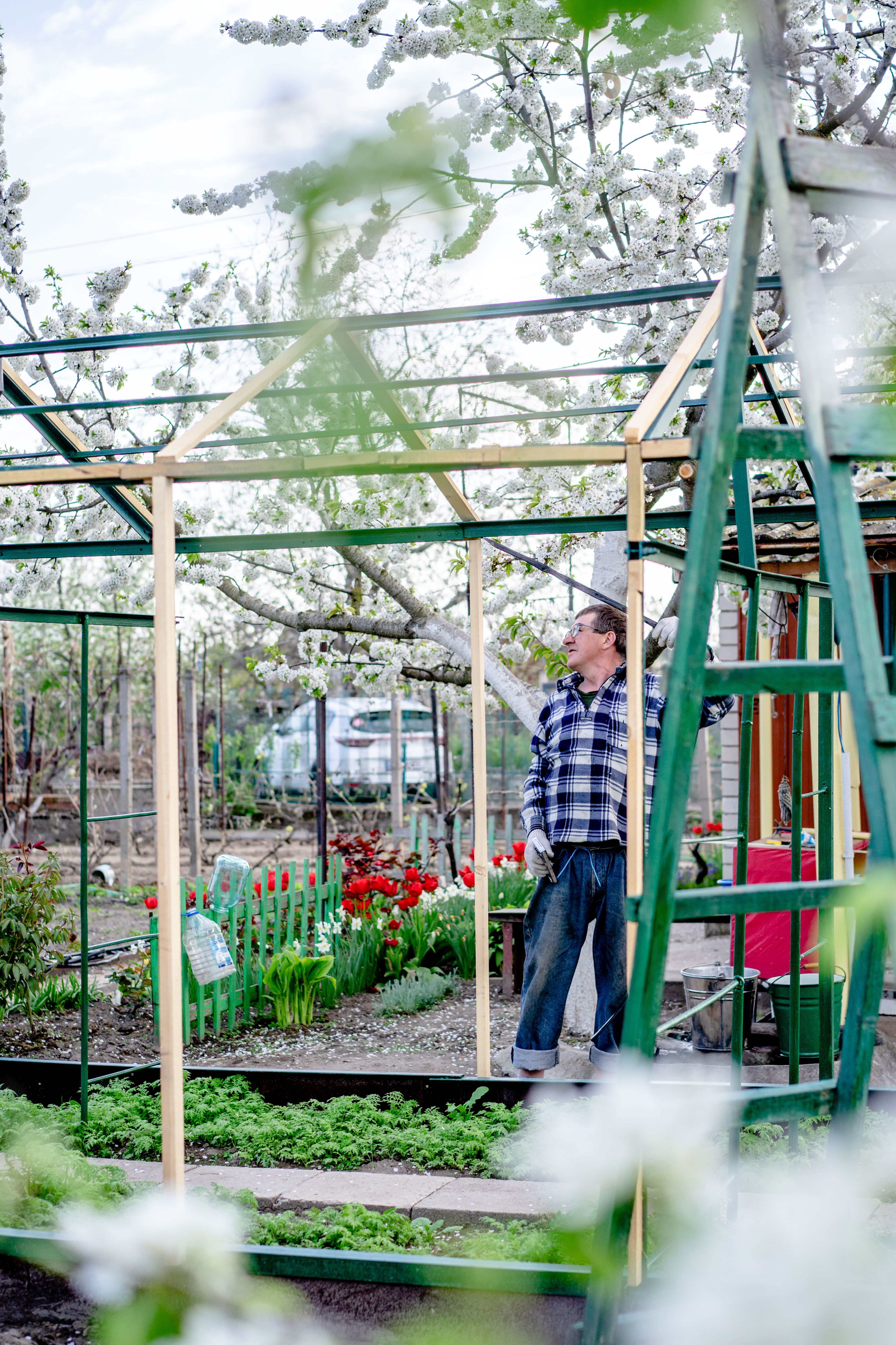 A man builds a greenhouse in a lush garden filled with blooming flowers and plants.
