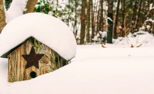 雪に覆われた茶色の木造巣箱