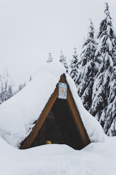 A snow-covered A-frame cabin surrounded by frosty pine trees in a peaceful winter landscape.