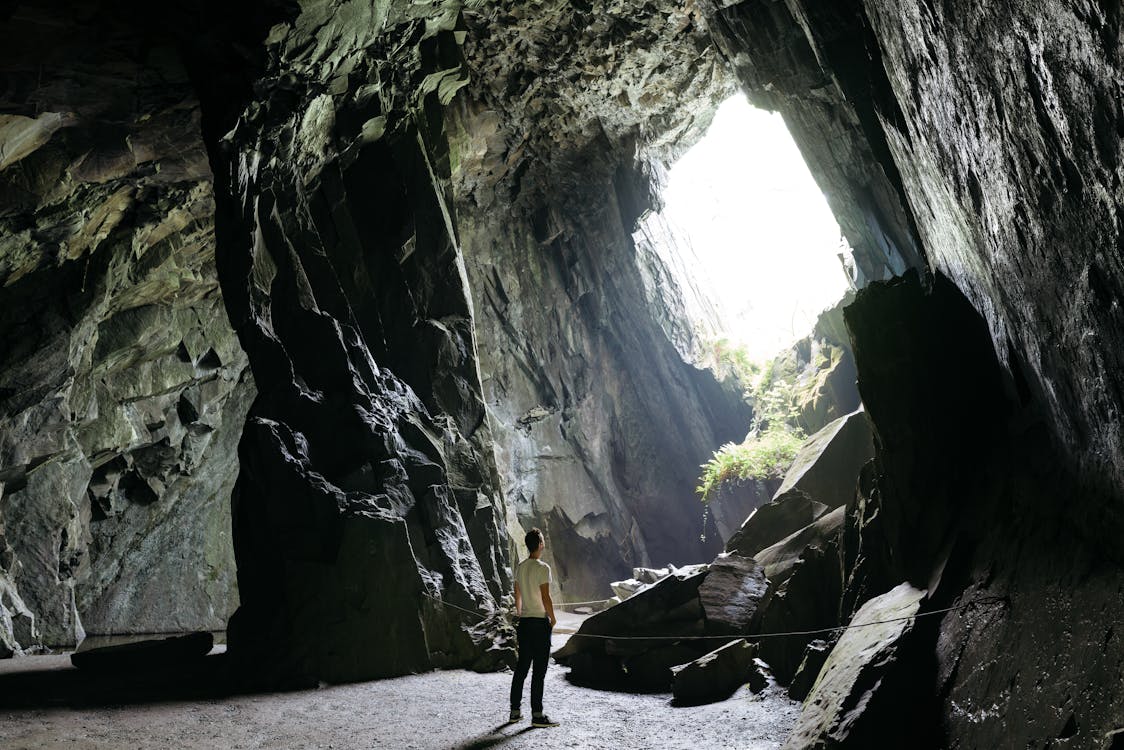 adega, aventura, cÃªnico