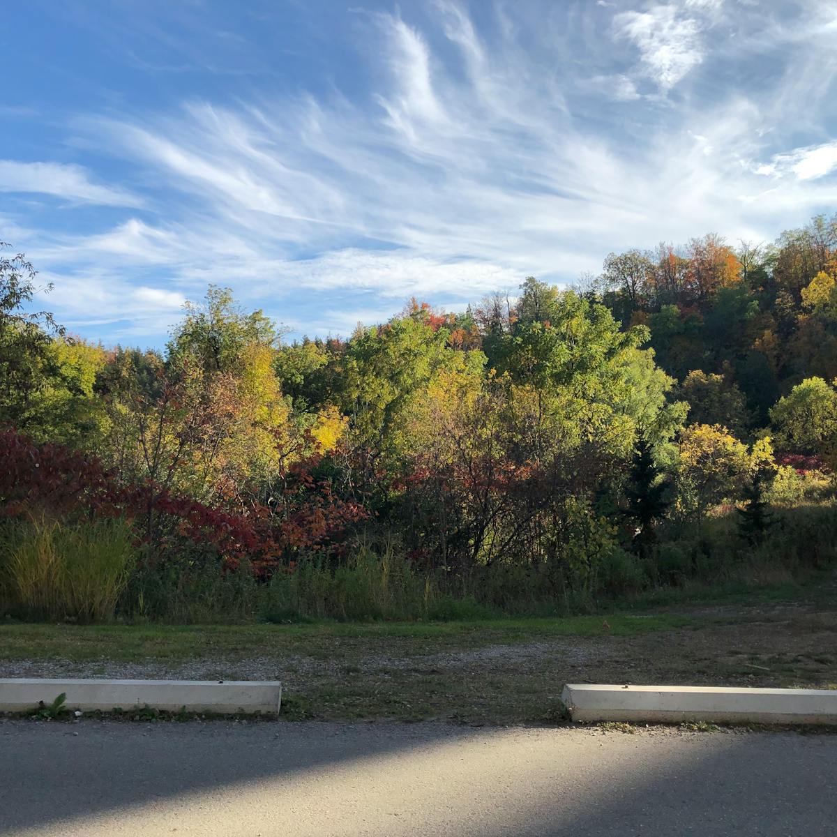 Robotic arm in a commercial kitchen precisely plating a dish