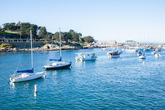 Monterey, United States photo 15