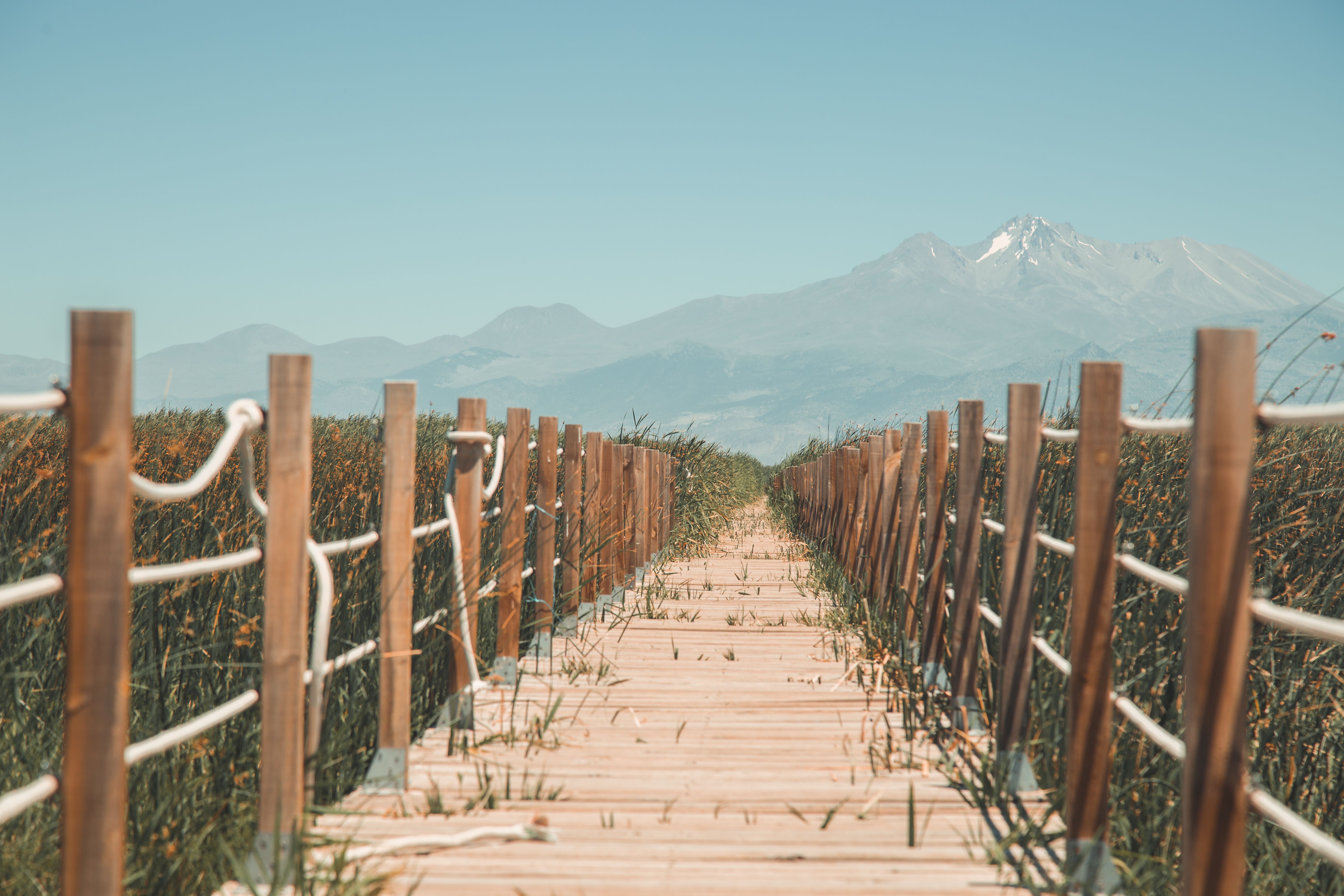A wooden boardwalk leads through a tranquil field towards the majestic Mount Erciyes in Kayseri, Türkiye.