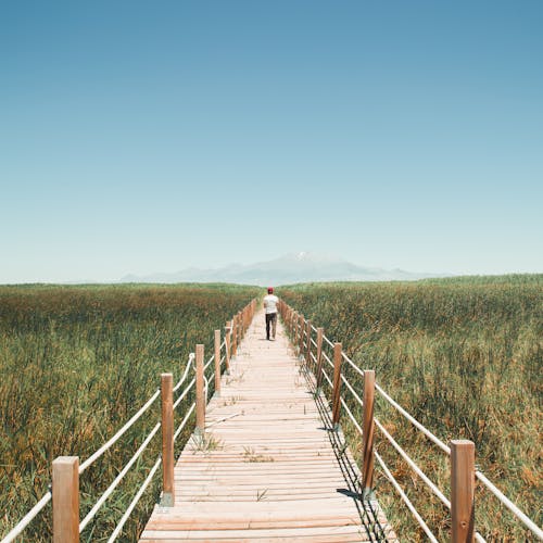 A Person Walking on the Boardwalk