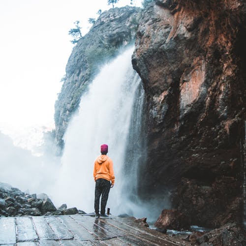 Free Back View of Person Standing Near the Waterfall  Stock Photo