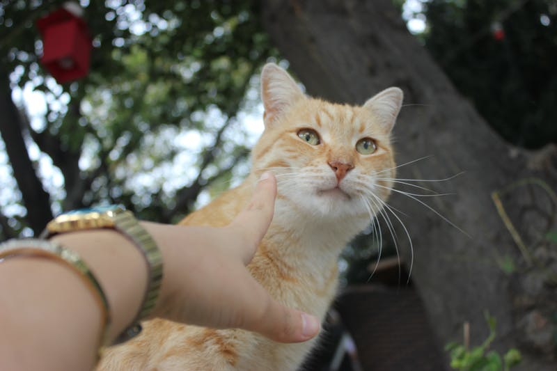 Discount tags on perfume bottles