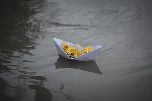 Free stock photo of boat, flowers, lake