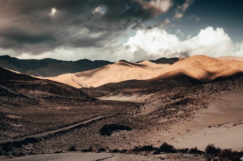 Scenic Landscape of the Desert