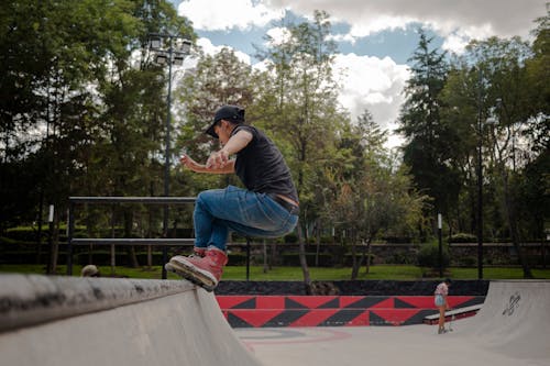 Fotos de stock gratuitas de al aire libre, arboles, balance