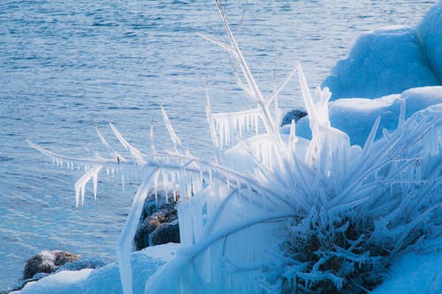 Free stock photo of canada, ice, toronto