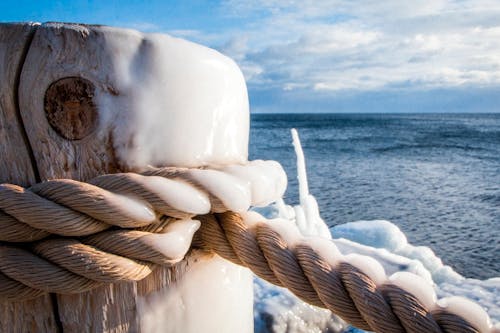 Brown Rope Tied On Wooden Post Beside Body Of Water