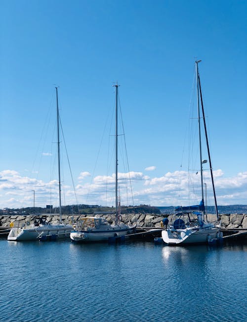 White Boats Docked in Harbor