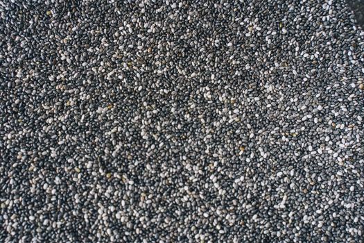 Black Chia