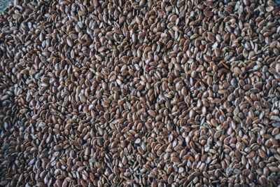 Flaxseeds close up