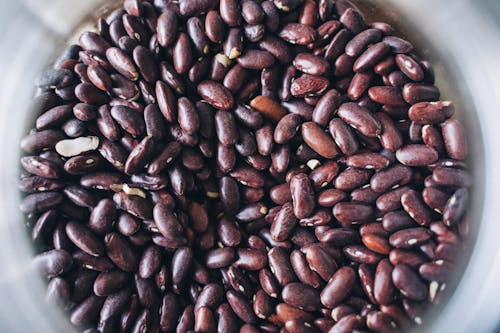 Free Brown Pinto Beans in a Container Stock Photo