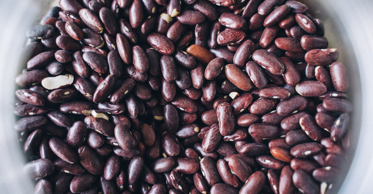 How do pinto beans grow video