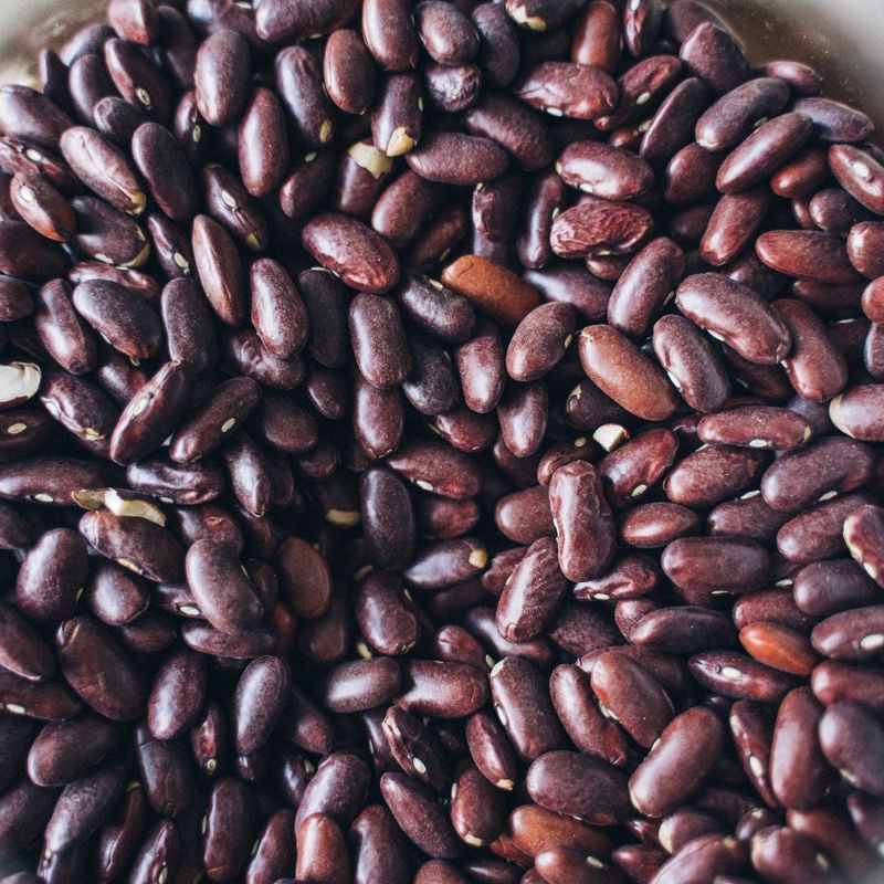 Pinto Bean and Brown Rice Burgers