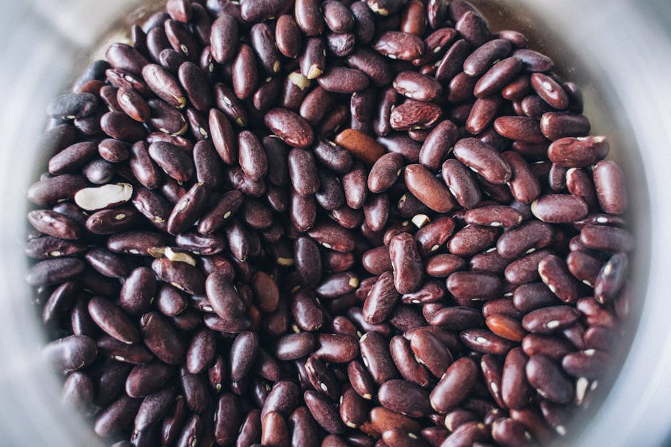 How do pinto beans grow video