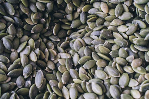 Free Dried Pumpkin Seeds in Close-up Shot Stock Photo