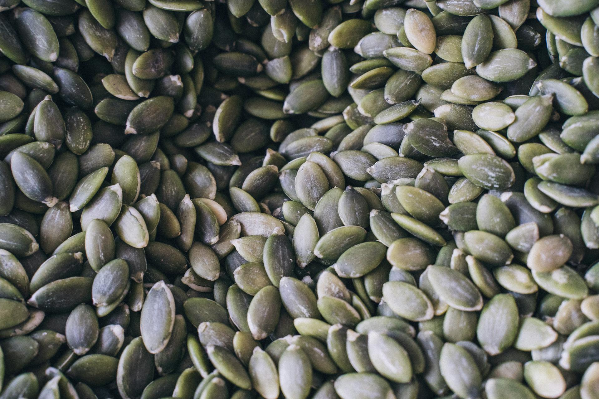 Dried Pumpkin Seeds in Close-up Shot