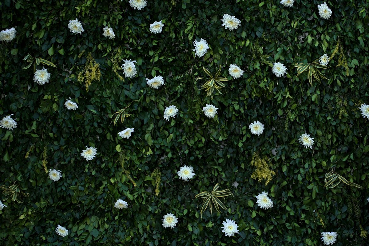 White blooms on lush greenery wall backdrop for weddings