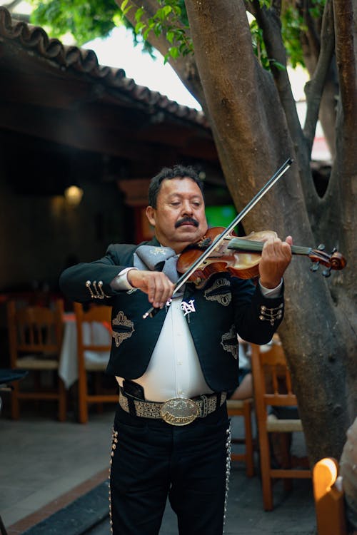 Free Man Playing Violin Stock Photo