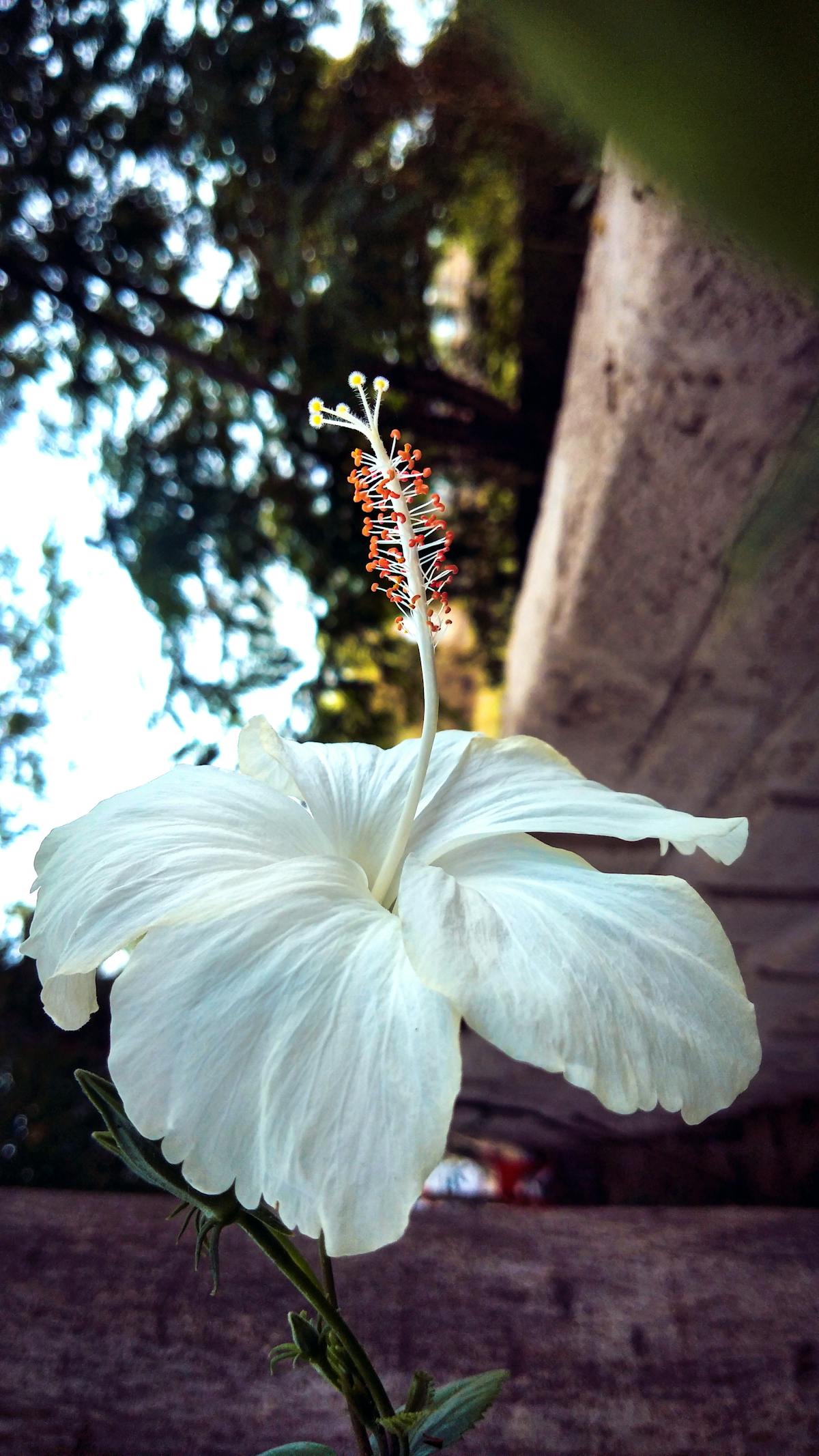 Person holding a classic game controller in front of a CRT television