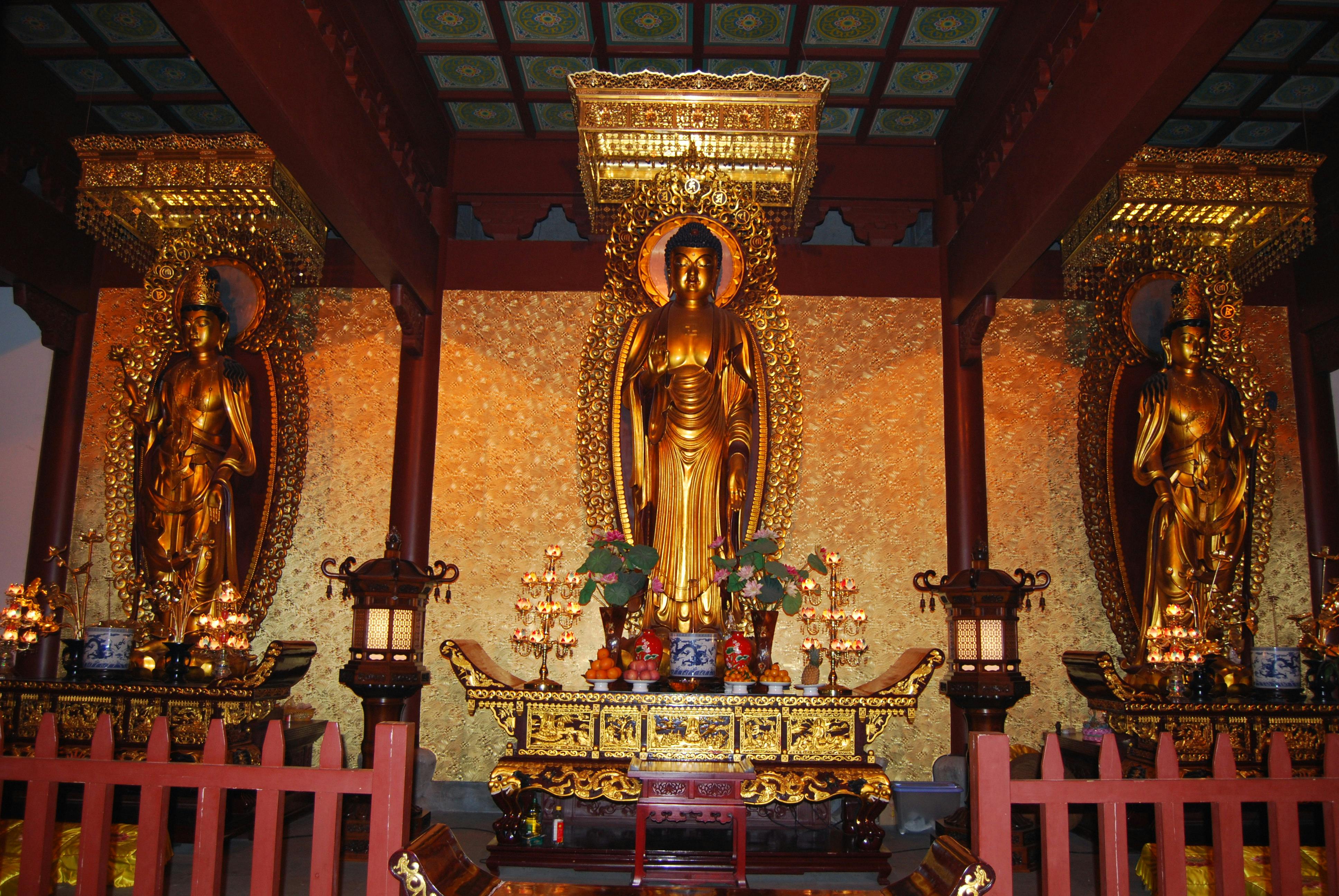 Person playing a cozy game on Nintendo Switch in a warm, softly lit room