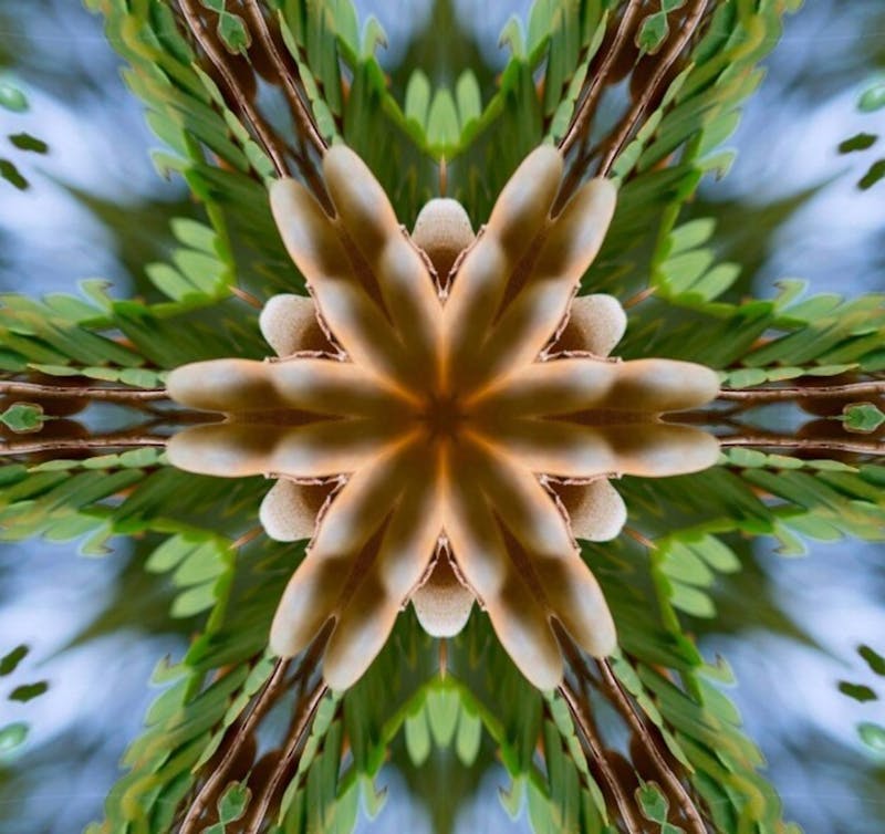 Casa Inteligente e Alexa