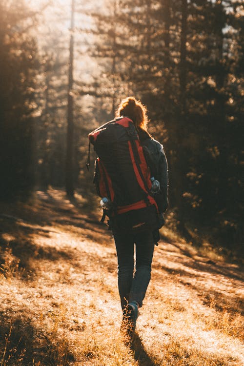 Δωρεάν στοκ φωτογραφιών με backpacker, lifestyle, trekking