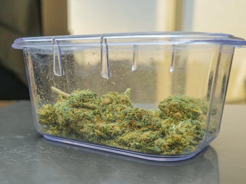Photo of Green Kush in Clear Container