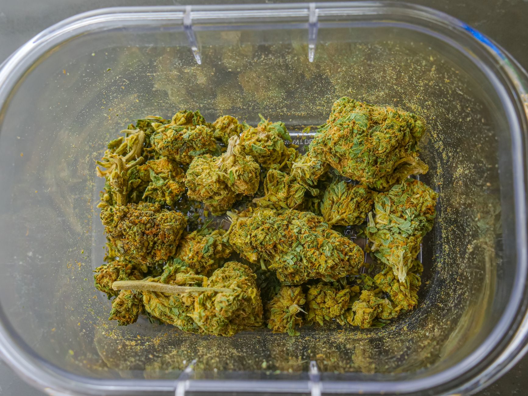 DC medical patient adding kief to cannabis flower Medical cannabis patient using kief to top off a bowl