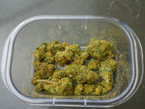 Photo of Cannabis Flowers on Glass Container