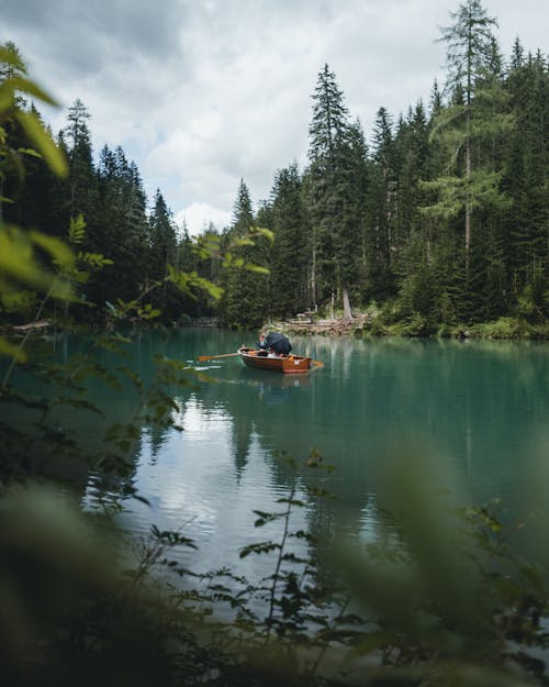 Gratis stockfoto met bomen, boot, Bos