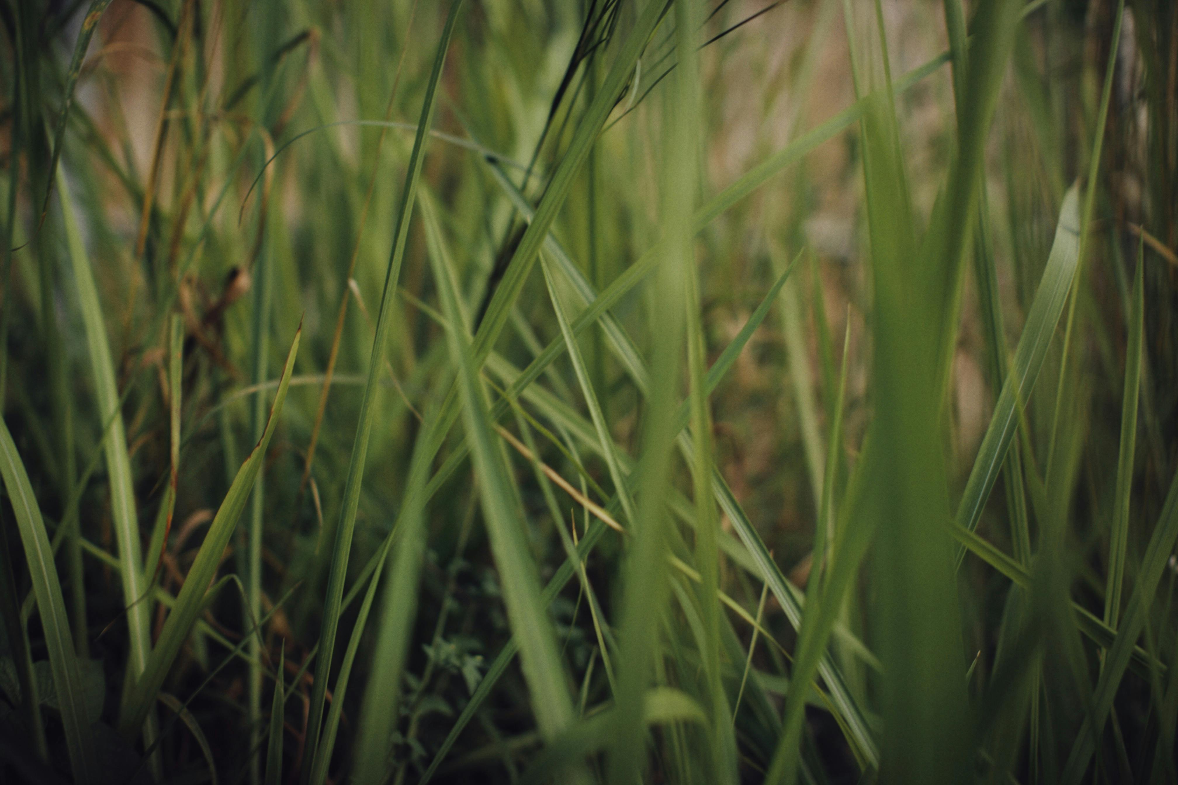 A 5G network tower with a city in the background, symbolizing advanced connectivity.
