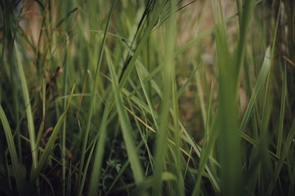 Óculos de sol moderno