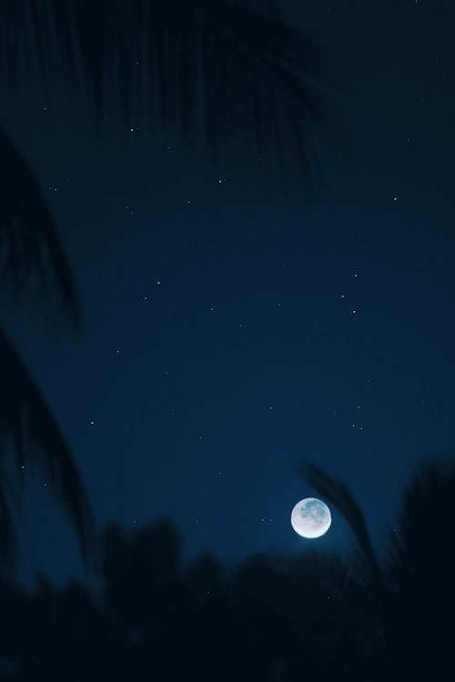 açık hava, akşam karanlığı, astronomi içeren Ücretsiz stok fotoğraf