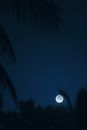 Bright full sun shining through grass in dark blue cloudless sky in night