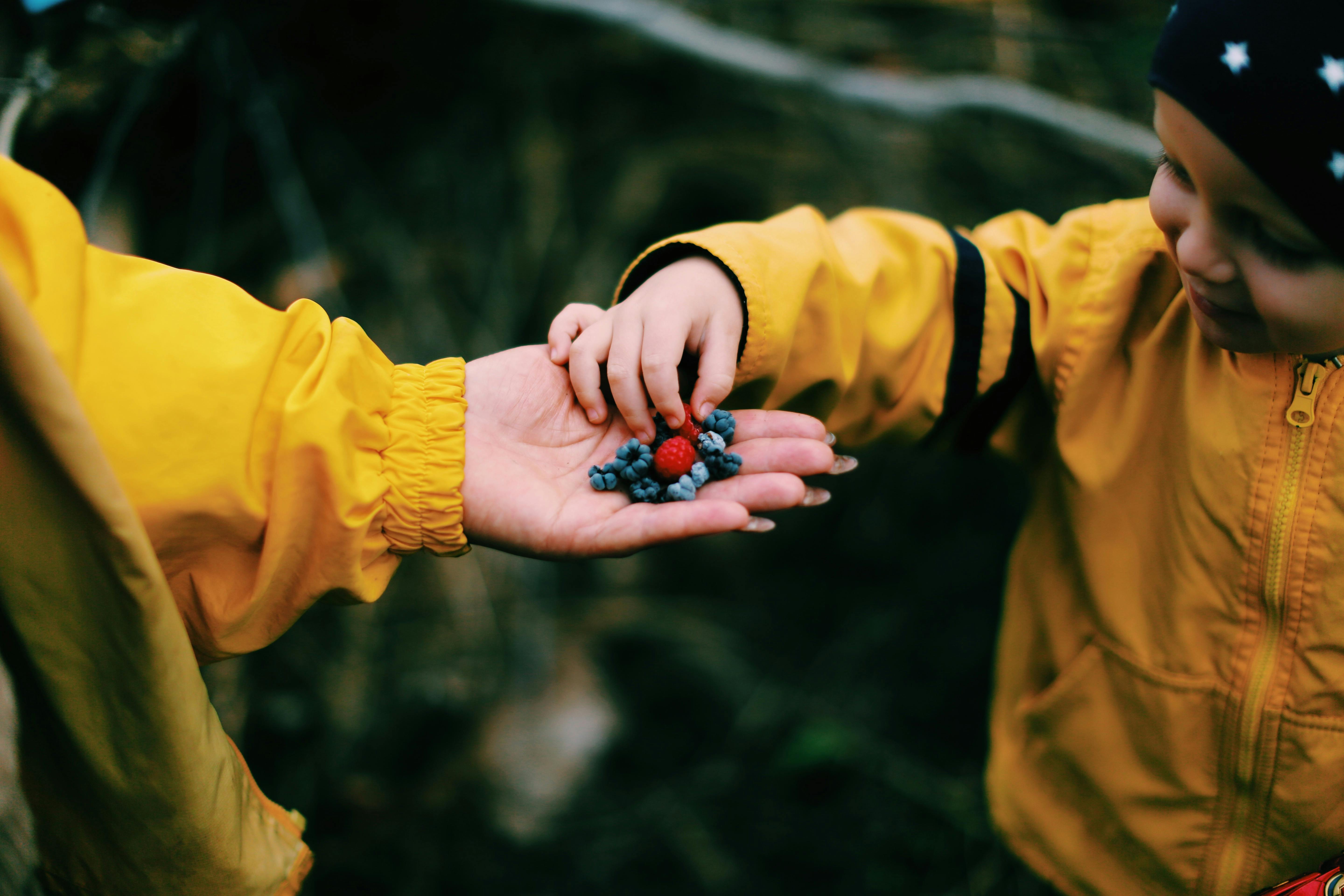 crop female giving berries to kid