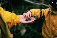 Crop female giving berries to kid