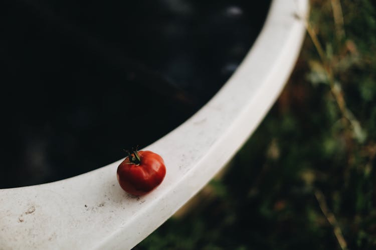 Small Tomato Placed On Table In Garden